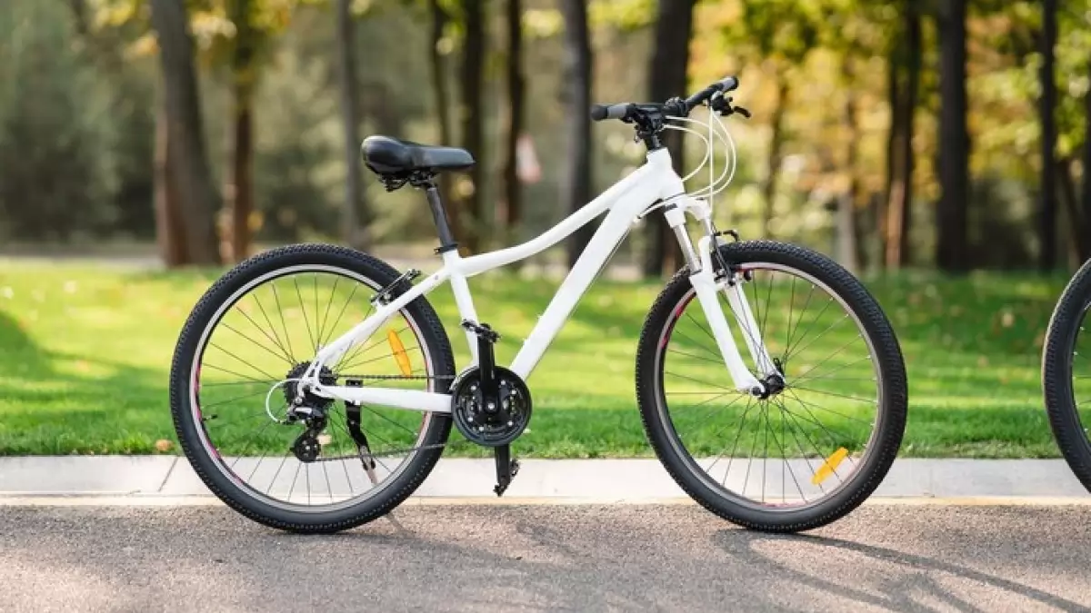 TOP 10 BUDGET FRIENDLY BICYCLE UNDER 15000 INR